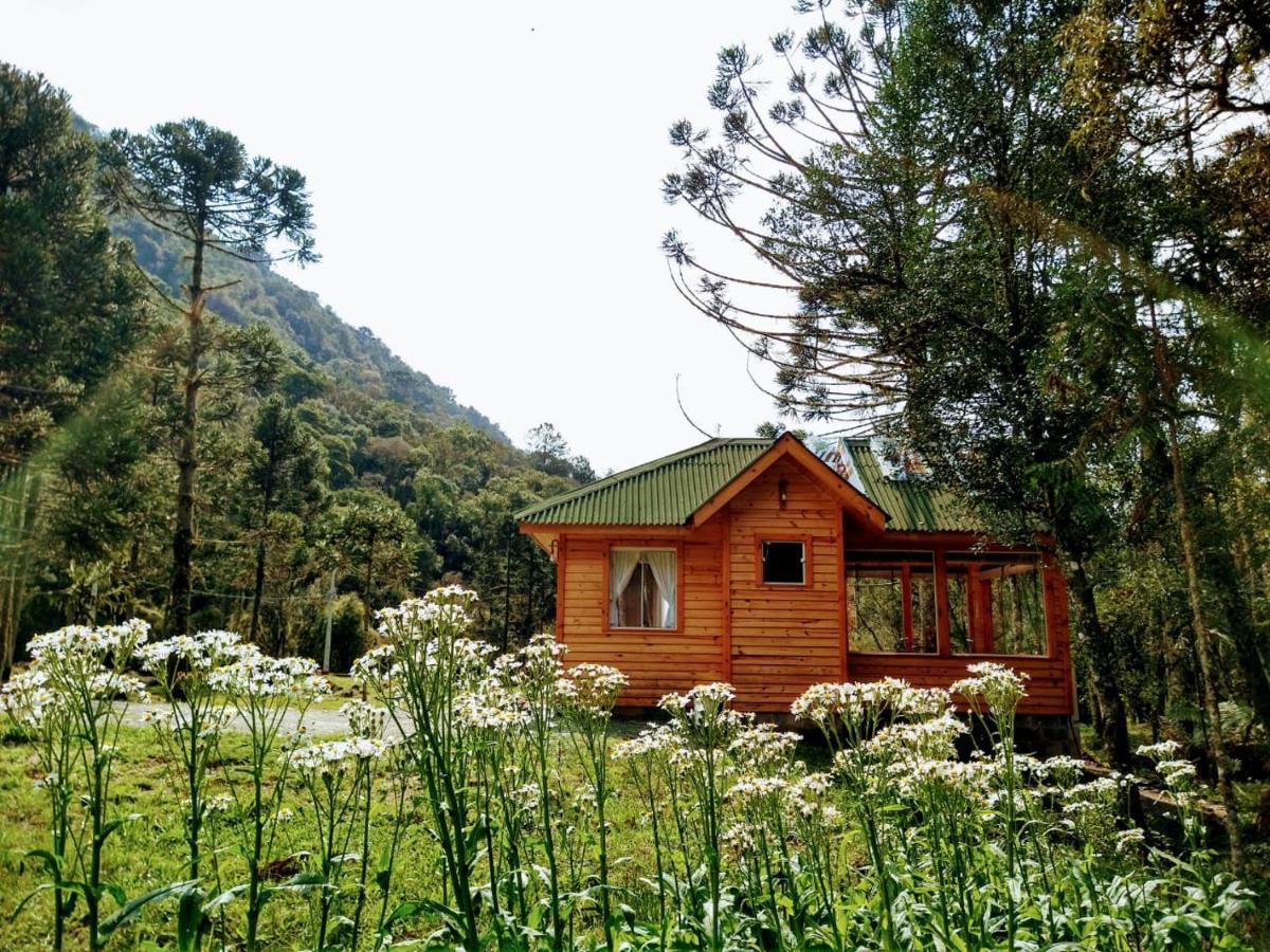 木屋 Cachoeira Do Avencal